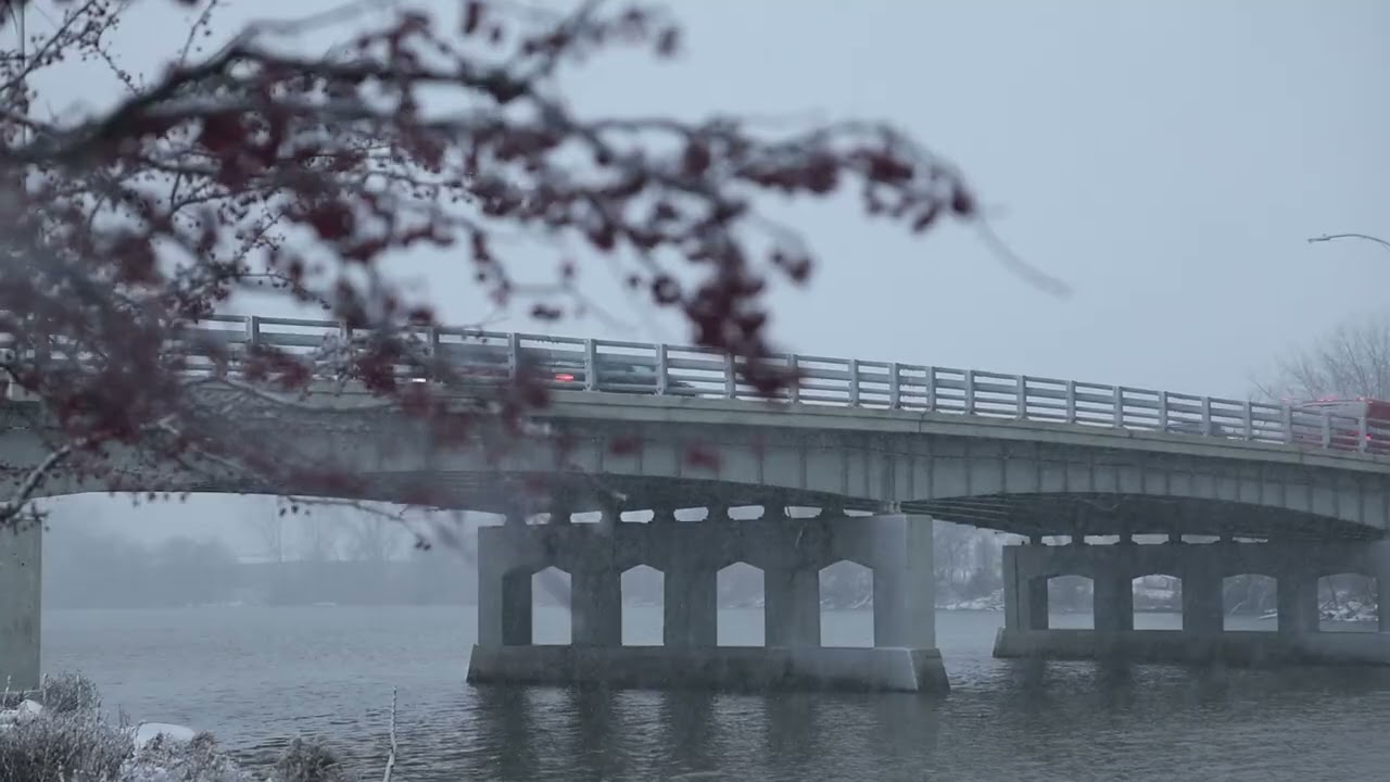 Check out scenes as snowstorm pummels Bay City on Friday, Jan. 12