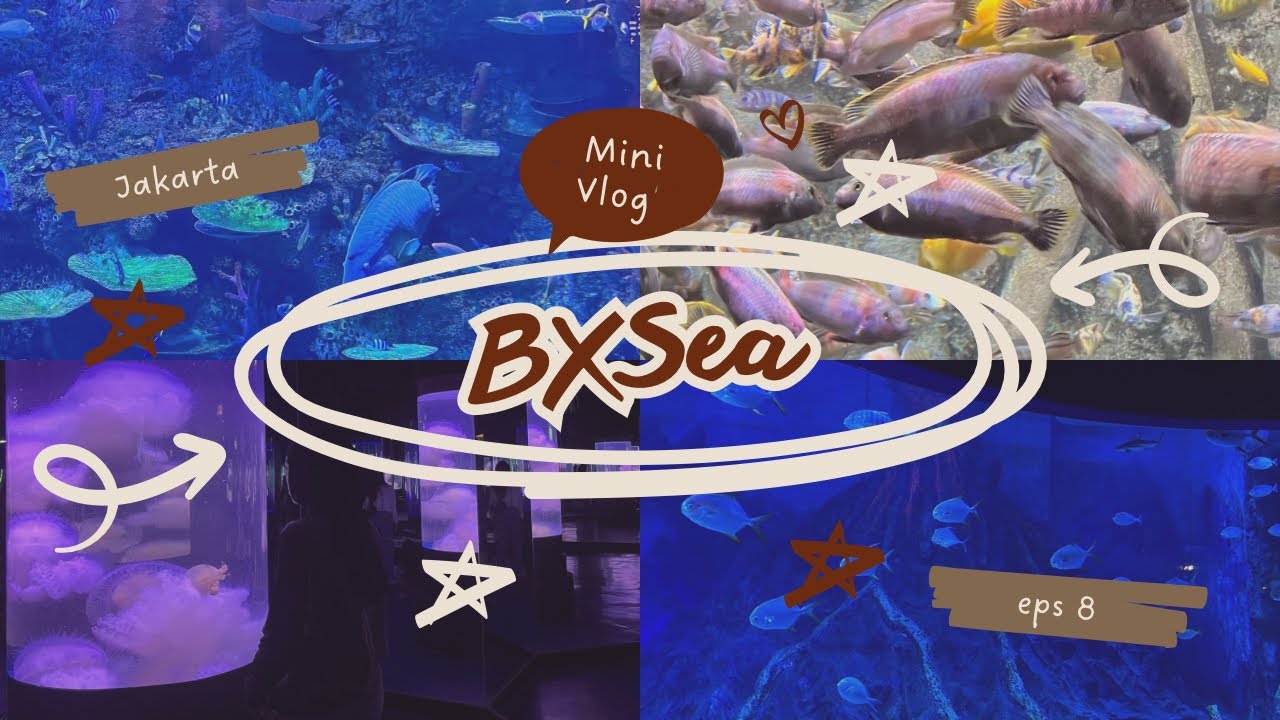 BXSea aquarium🐟🐟 #day2