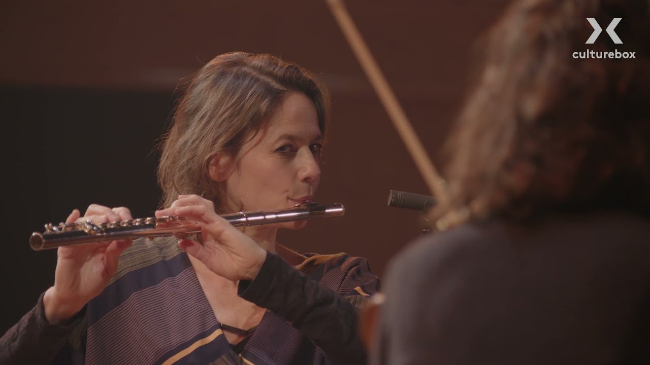 SOPHIE ALOUR  disque ENJOY (Songe en forme de fougère)