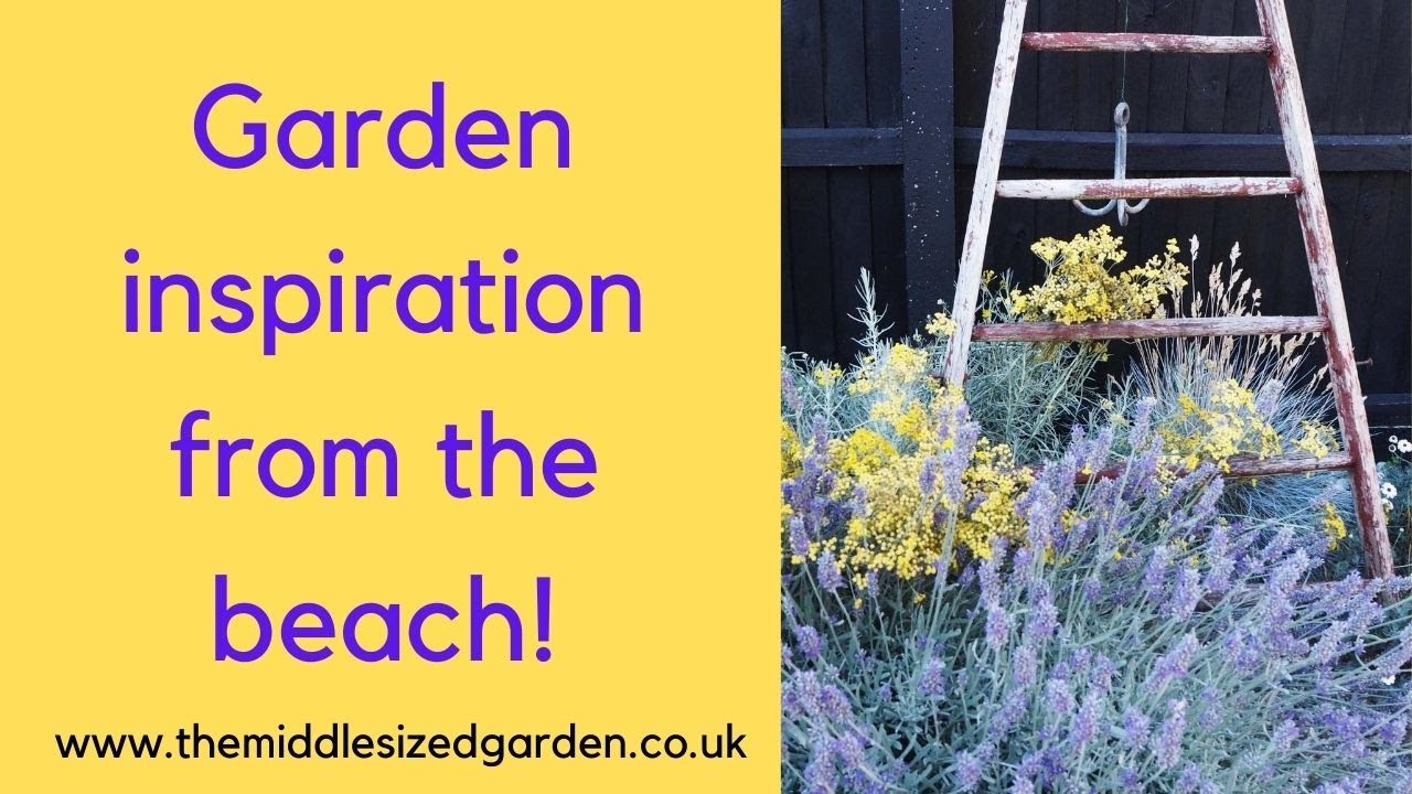 18 brilliant coastal garden plants