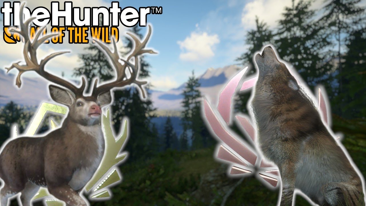 Mule Deer and Wolf Grind! |The Hunter Call of the Wild