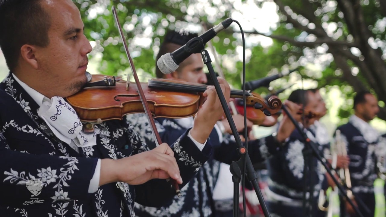 Mariachi Nuevo Curiel - Mi Lindo Nayarit (Video en Vivo)
