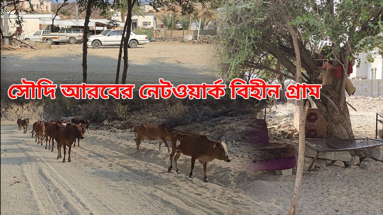 সৌদি আরবের নেটওয়ার্ক বিহীন গ্রাম | Saudi Arab village road | আল কনফুদা নিমরা | Travel blog |