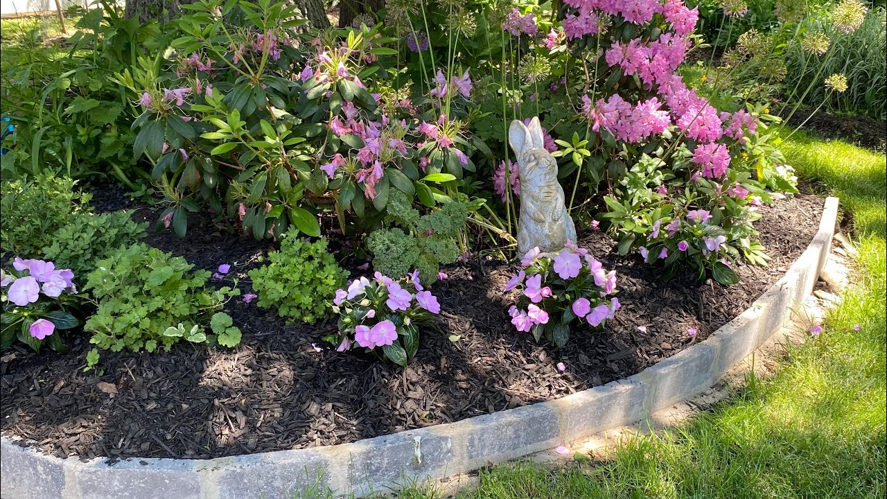 Hello June 2024! Late Spring City English-style Cottage Garden | Planting Impatiens and SunPatiens