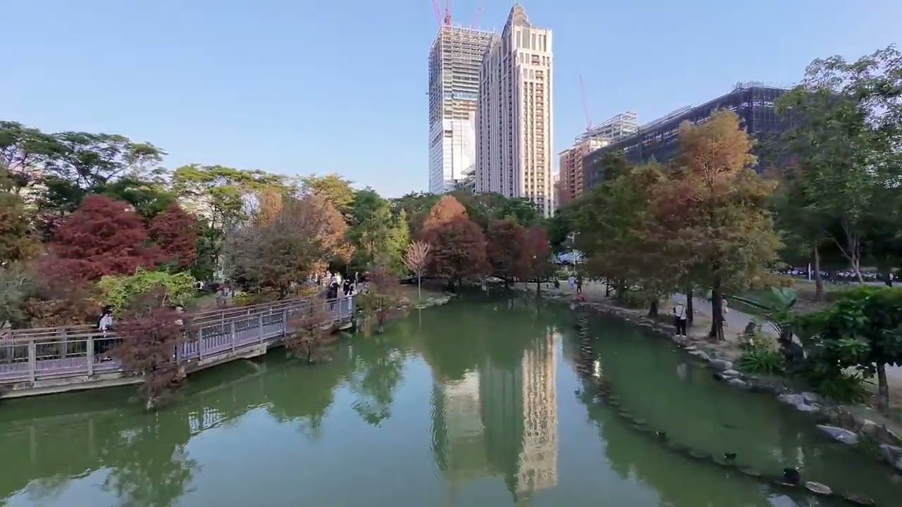 DJI NEO 高雄凹子底公園落羽松 2026/1/14