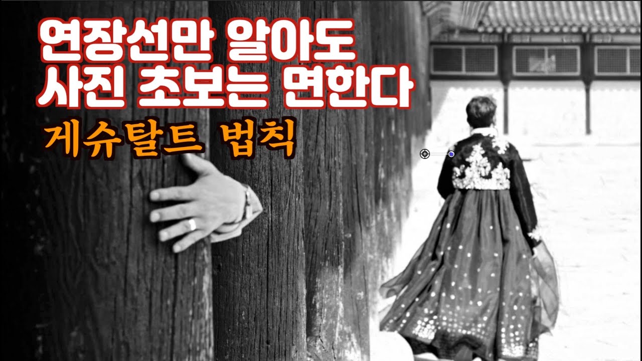 사진학개론사진전 7주년 기념 게슈탈트 법칙, 연장선만 알아도 사진 초보는 면한다