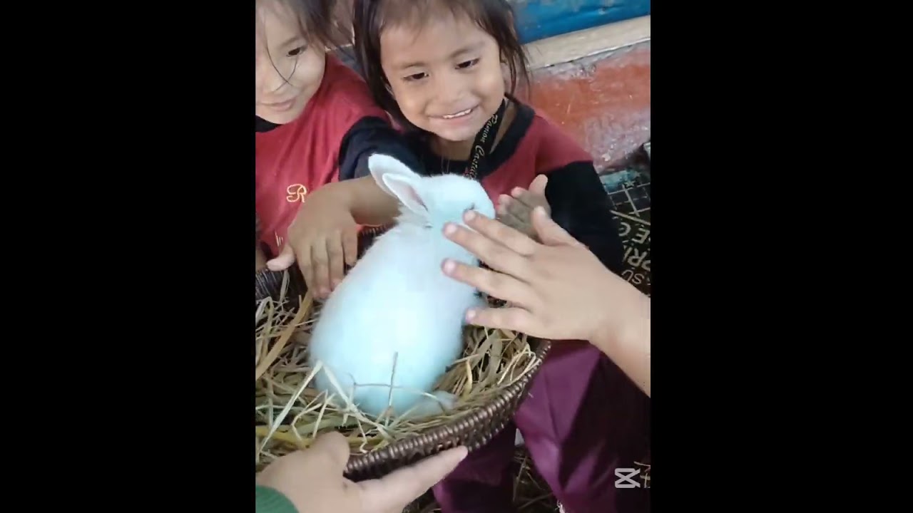 VISITA DE ESTUDIOS / INICIAL 3 AÑOS / LA CHACRA LURIN