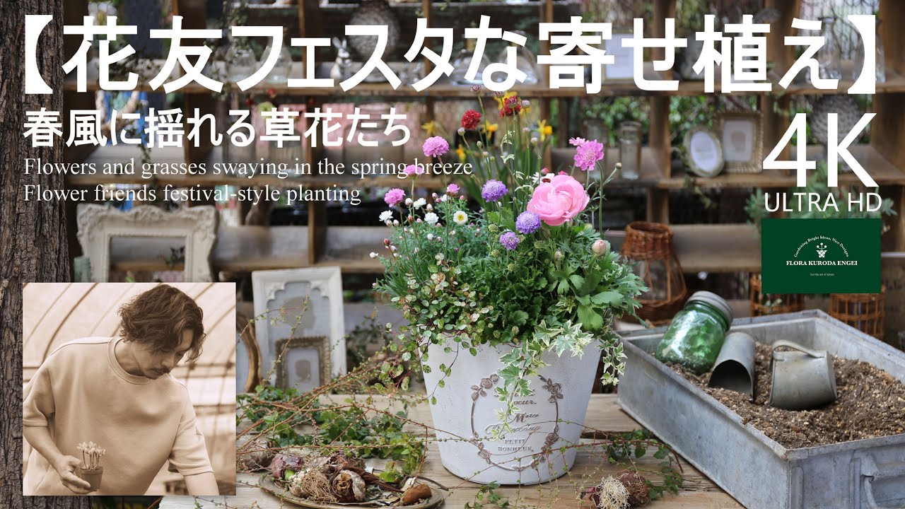 花友フェスタな寄せ植え／春風に揺れる草花たち【冬のガーデニング】-フローラ黒田園芸- mixed planting/ Winter gardening 4K ULTRA HD