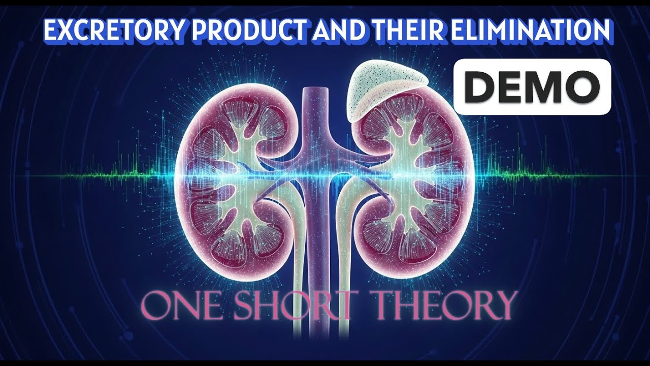 STRUCTUER OF KIDNEY EXCRETORY SYSTEM AND THEIR ELIMINATIONS THEORY SESSION NEET/AIIMS 2026