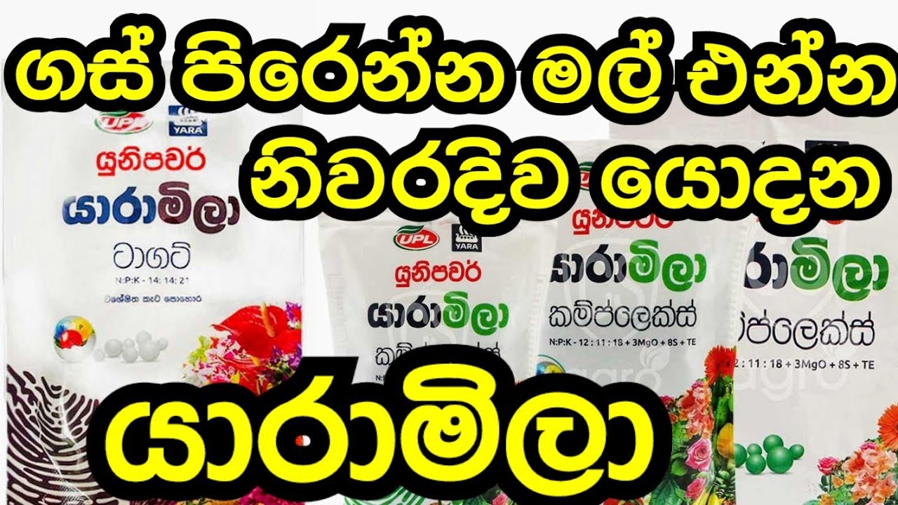 How to use Yaramila fertilizer #yaramila #fertilizer #easy #pohora #howto #garden #tips #tricks