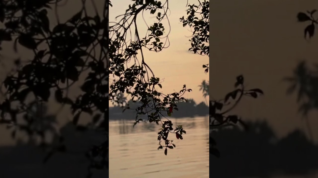 Alleppey