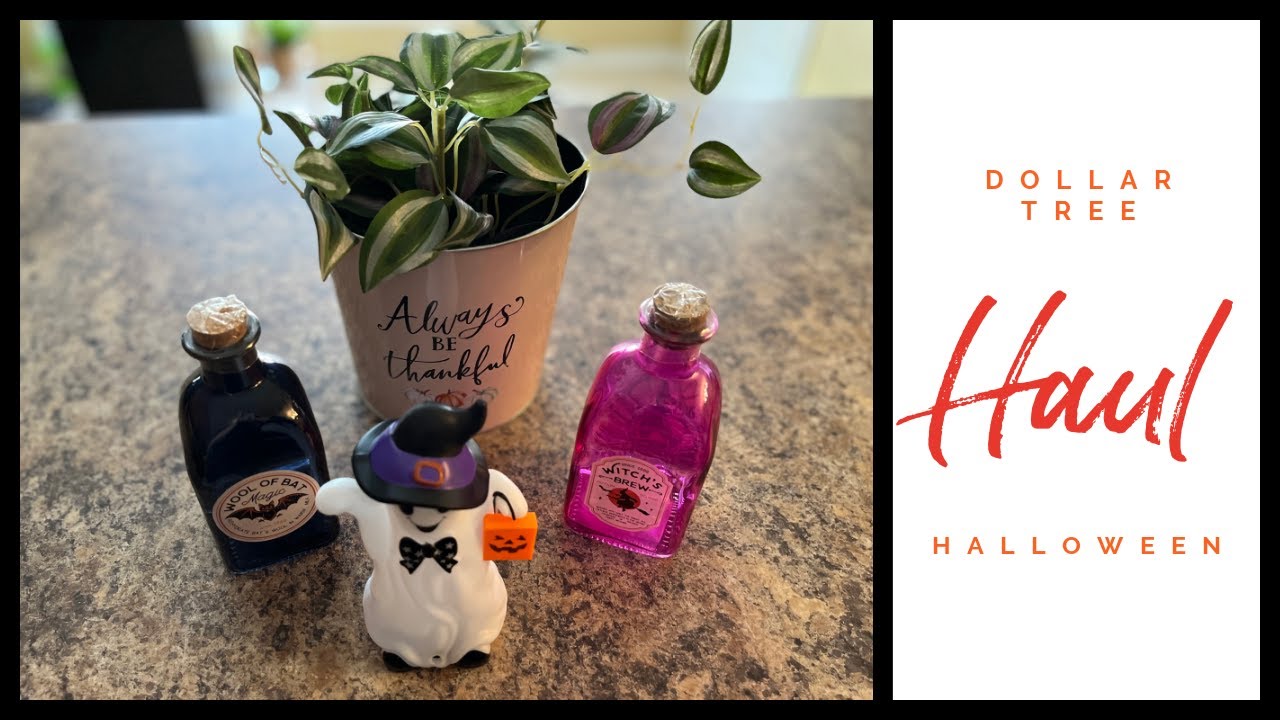 Haul 2022 Dollar Tree | Halloween and more...