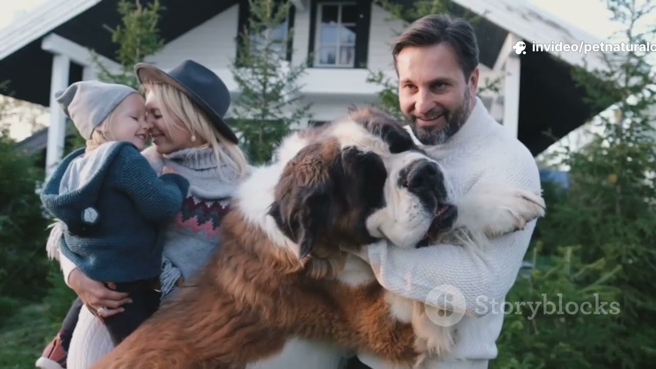 Petnaturalcare Youtube Elimine as Bactérias, Pulgas e Carrapatos em sua Casa 🏠✅ com PetNaturalCare