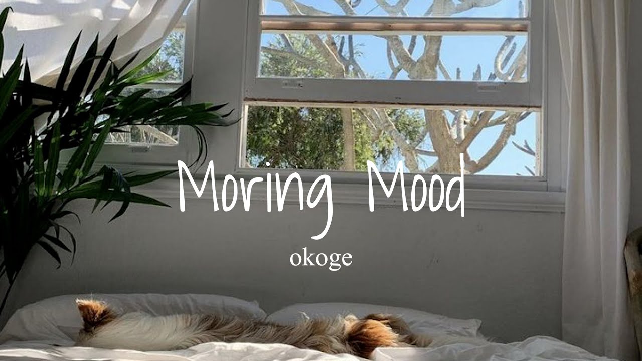 【Playlist】良い一日の始まりに素敵な洋楽を。/morning chill vibe songs