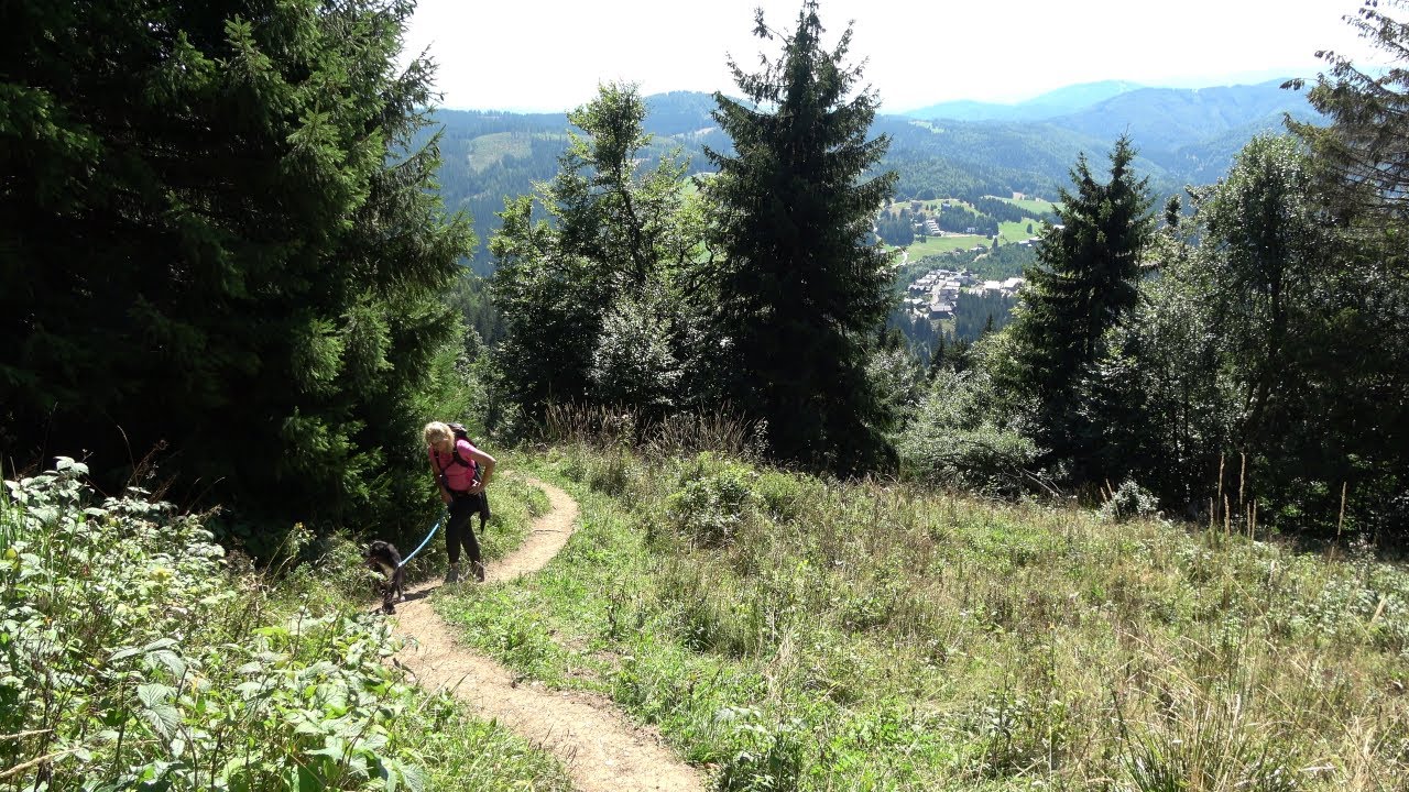Mit den Hunden auf den Zvolen (1370m) in der Niederen Tatra (Slowakei)
