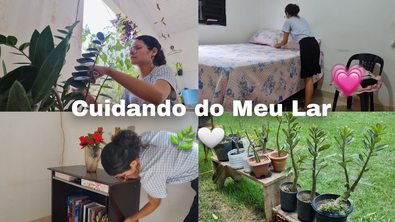 ROTINA DE LIMPEZA + CUIDADOS COM AS PLANTAS 🌿✨️