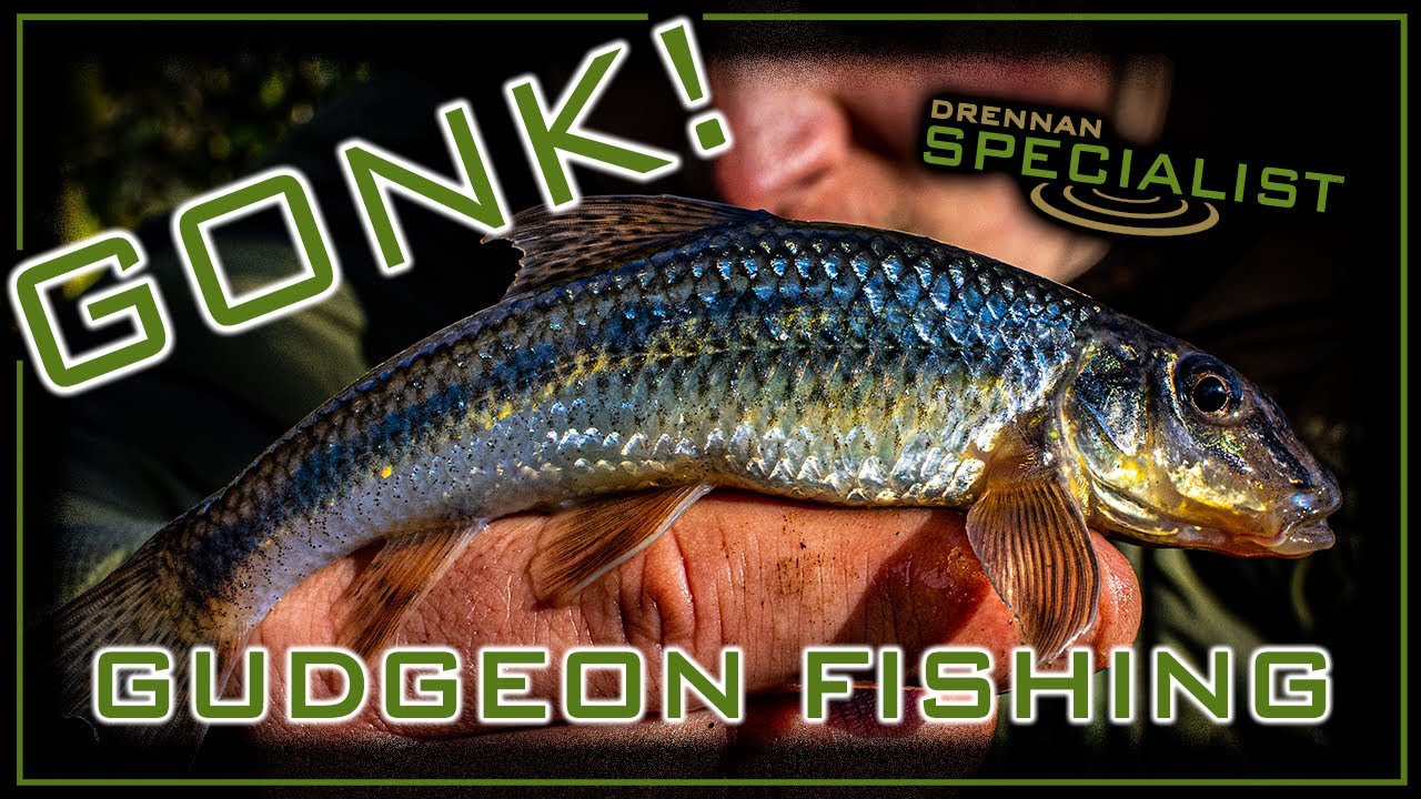 Gudgeon Fishing | Tiny Waterways | Jack Griffiths