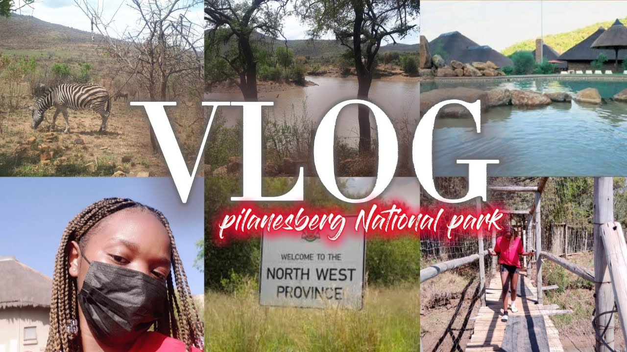 Travel Vlog | North West | Pilanesberg National Park | Wild Animals | Nature Reserve