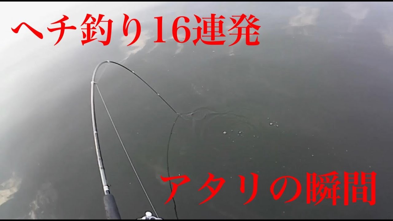 ヘチ釣り16連発アタリの瞬間・・・【落とし込み釣り　チヌ釣り　黒鯛釣り】