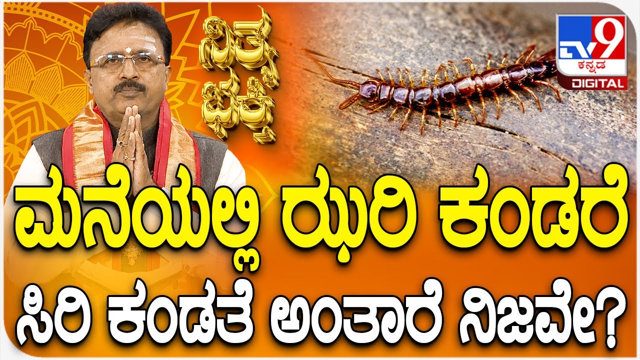 Daily Devotional | Dr. Basavaraj Guruji | ಮನೆಯಲ್ಲಿ ಝರಿ ಕಂಡರೆಸಿರಿ ಕಂಡತೆ ಅಂತಾರೆ ನಿಜವೇ? | #Tv9D