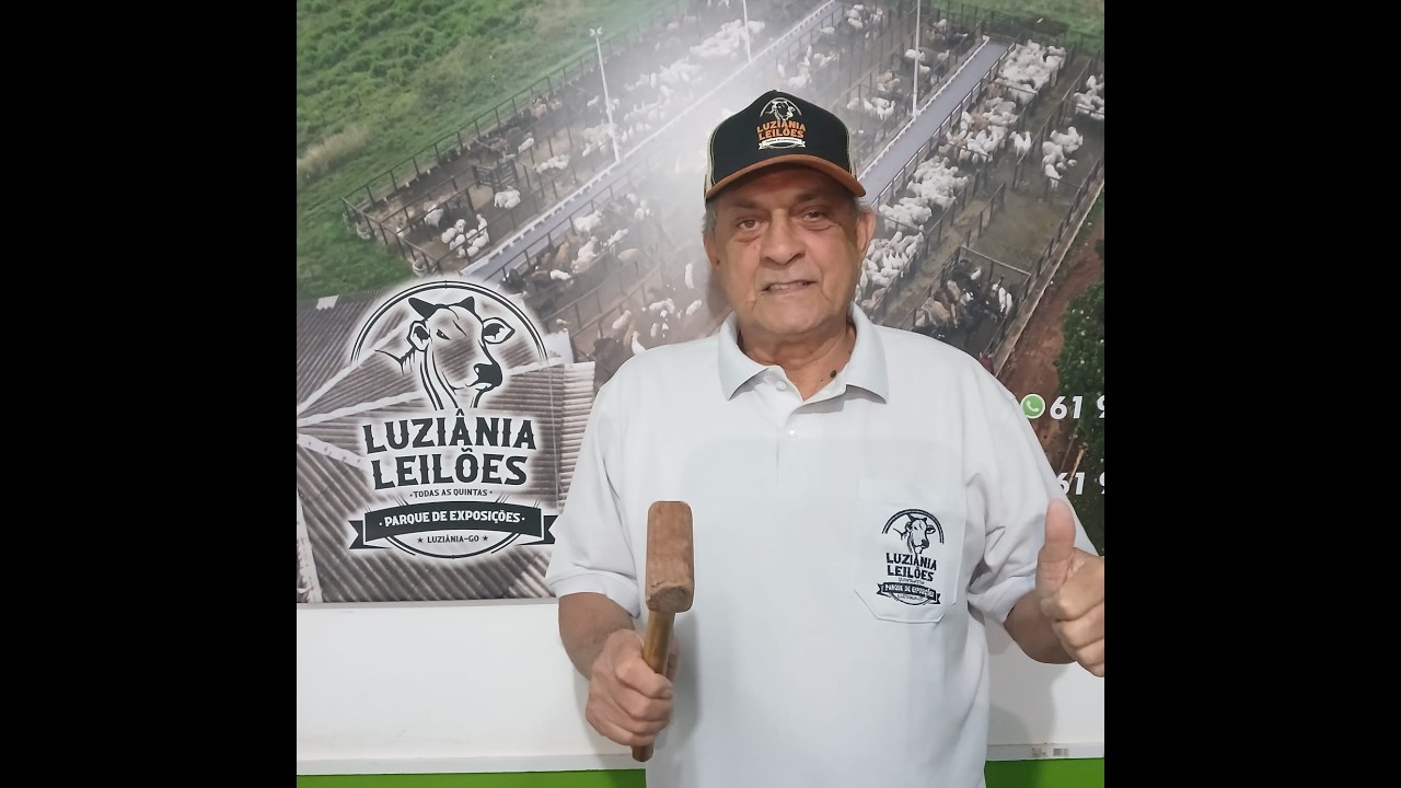 LUZIÂNIA LEILÕES - LUZIÂNIA - GO - 12/02/2026