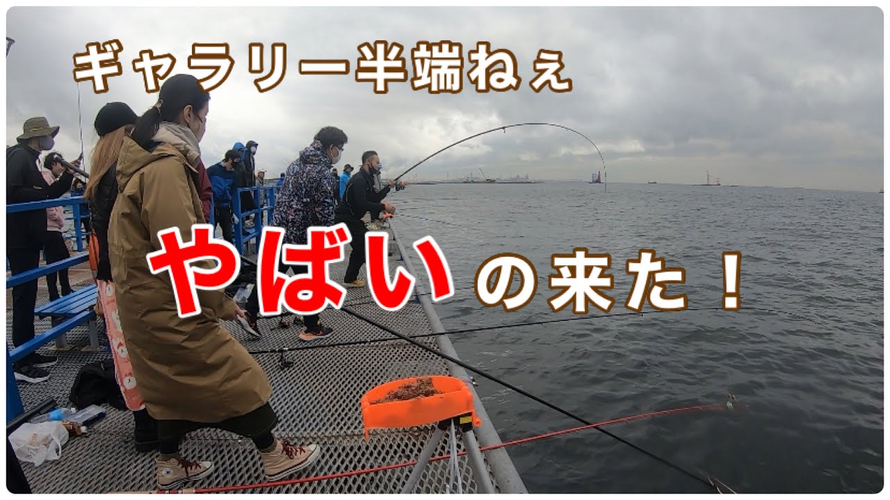 【本牧海づり施設】タチウオ&サビキ！コマセと仕掛け実釣。　　2022/10月中