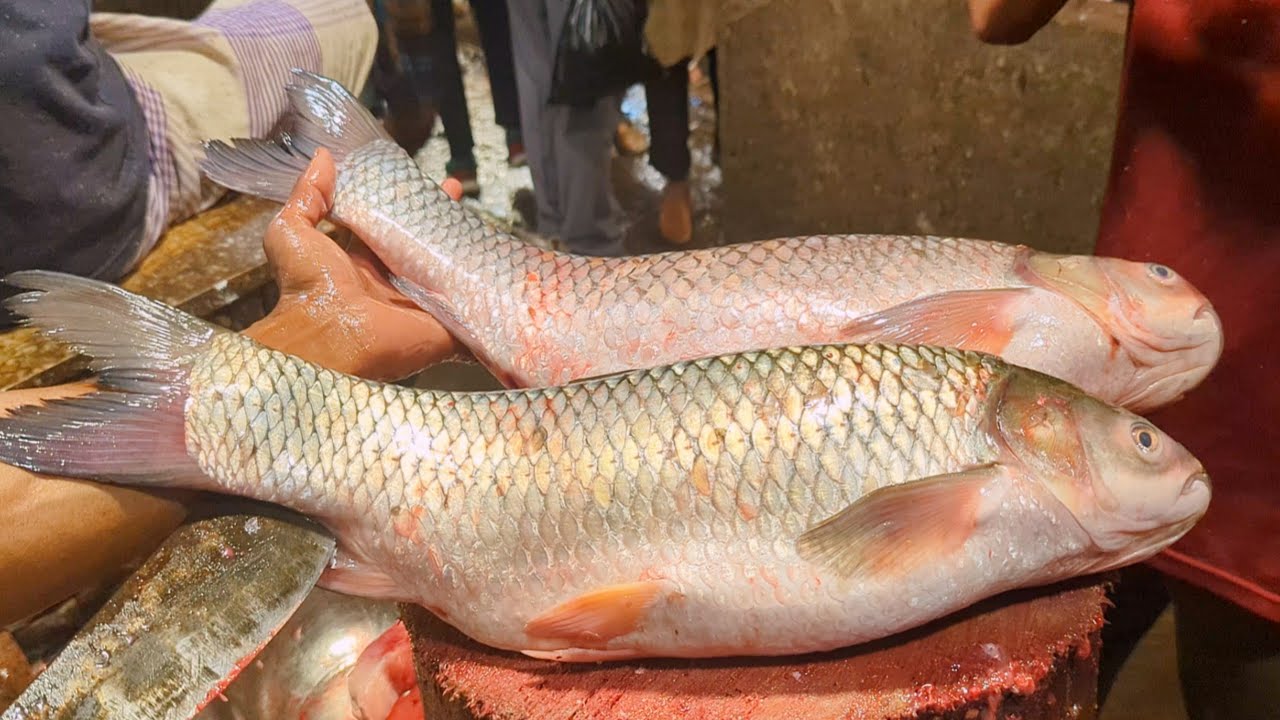 Amazing Grass Carp Fish Cutting Skills In Bangladesh Fish Market By Expert Fish Cutter