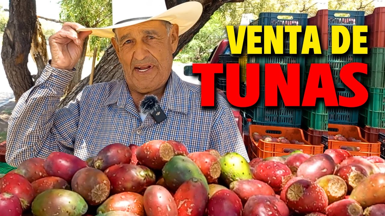 MI SUEGRO me CORRÍA A PEDRADAS, después CÓMO ME QUERÍA