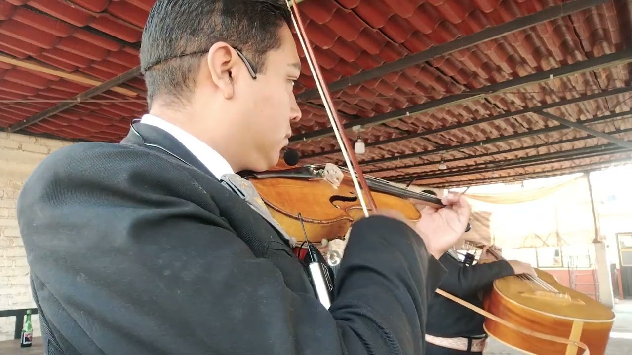 En tu pelo