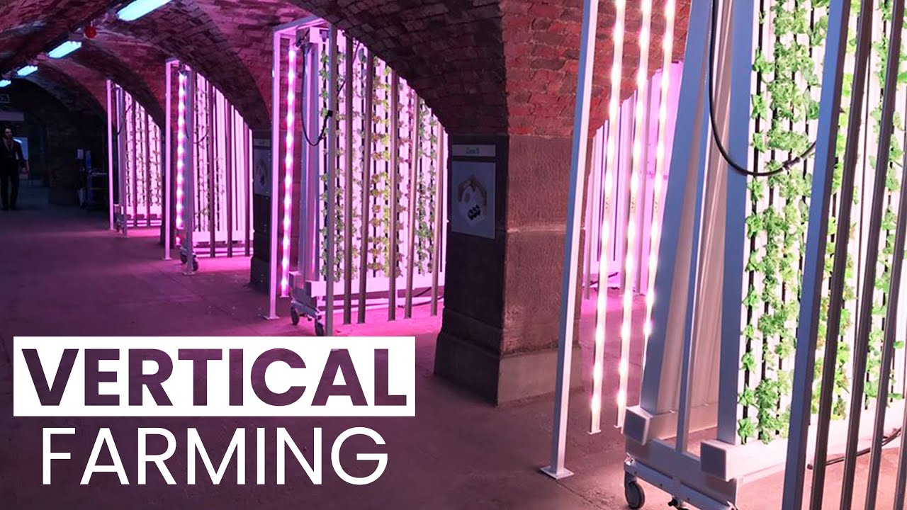 Vertical Farming Underground! | Greens For Good