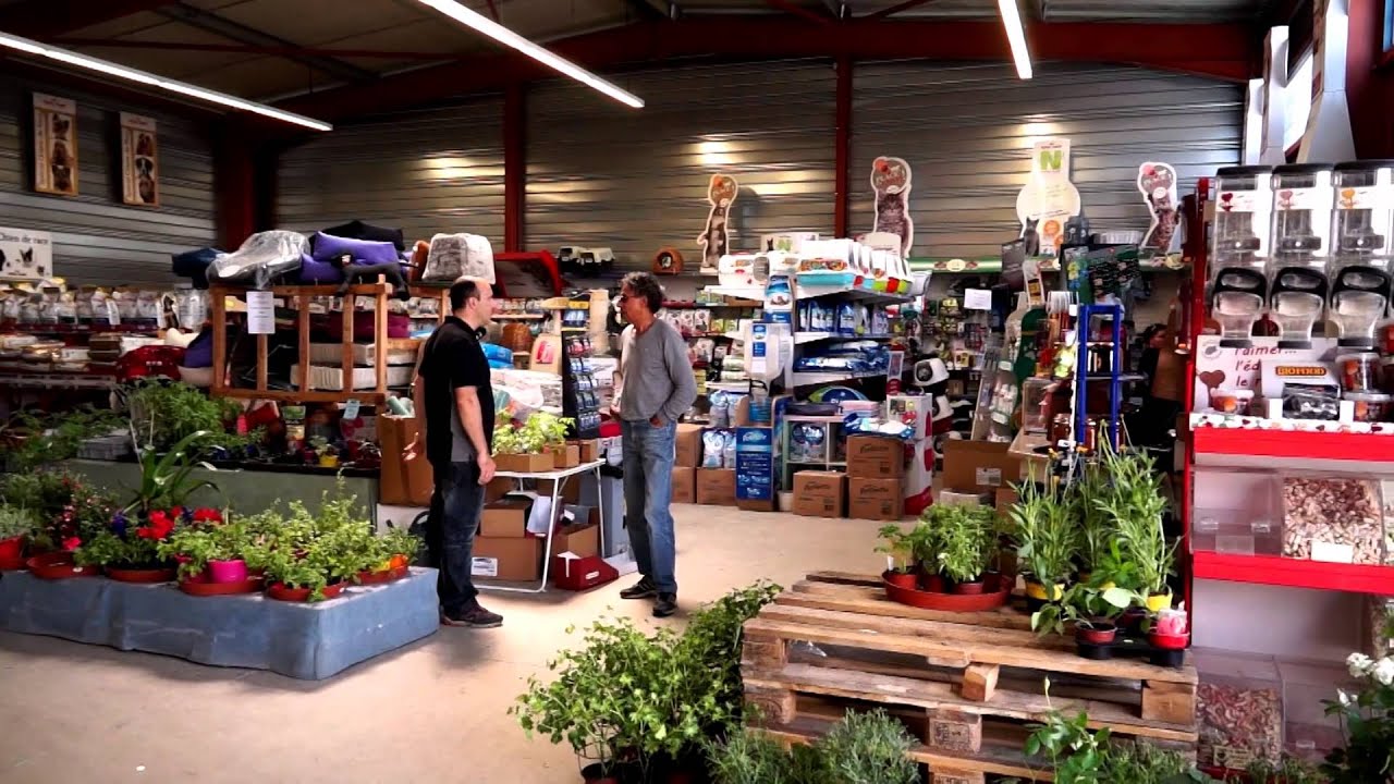 CASH GRAINES - Film Entreprise
