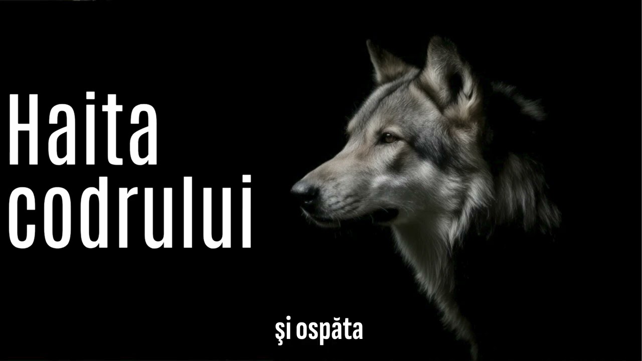 Haita codrului