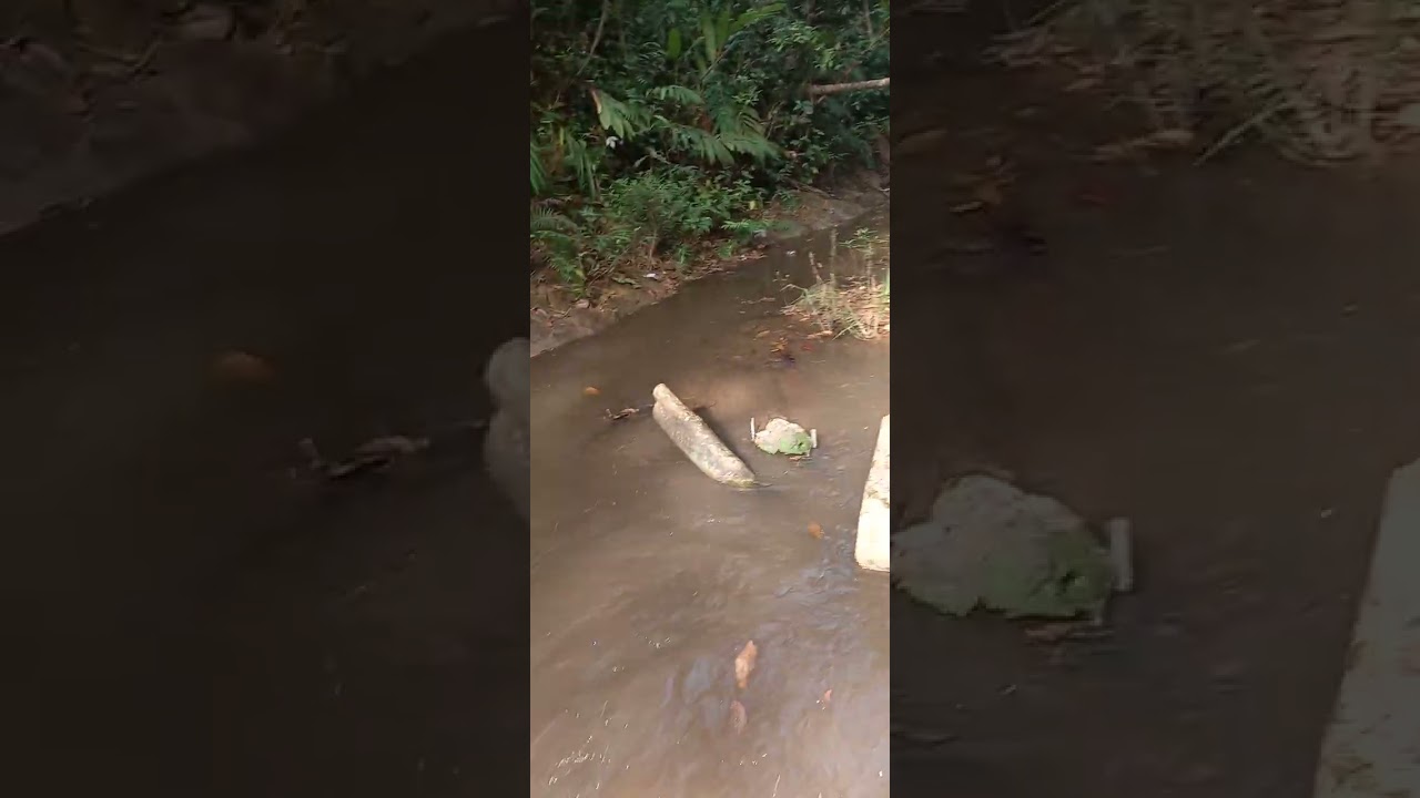 Perjalanan menuju DAM sumber air bersih Desa Sungai Buluh Part 1