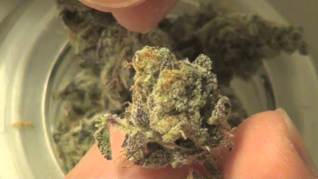 NugNews#23: King Diesel & Lavander