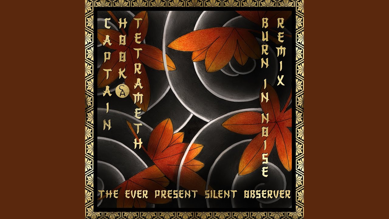 The Ever Present Silent Observer (Burn in Noise Remix)