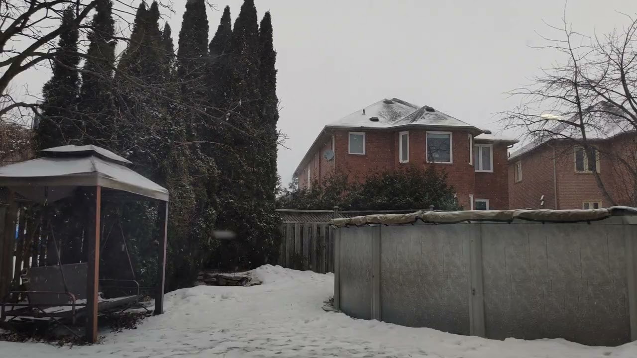 Snow Fall View From Home