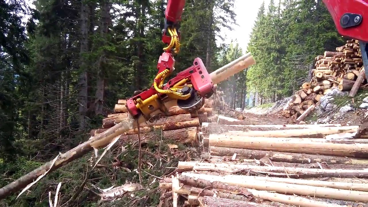 Канатная трелевка после ручной валки - Mounty 4000 пр-ва Konrad