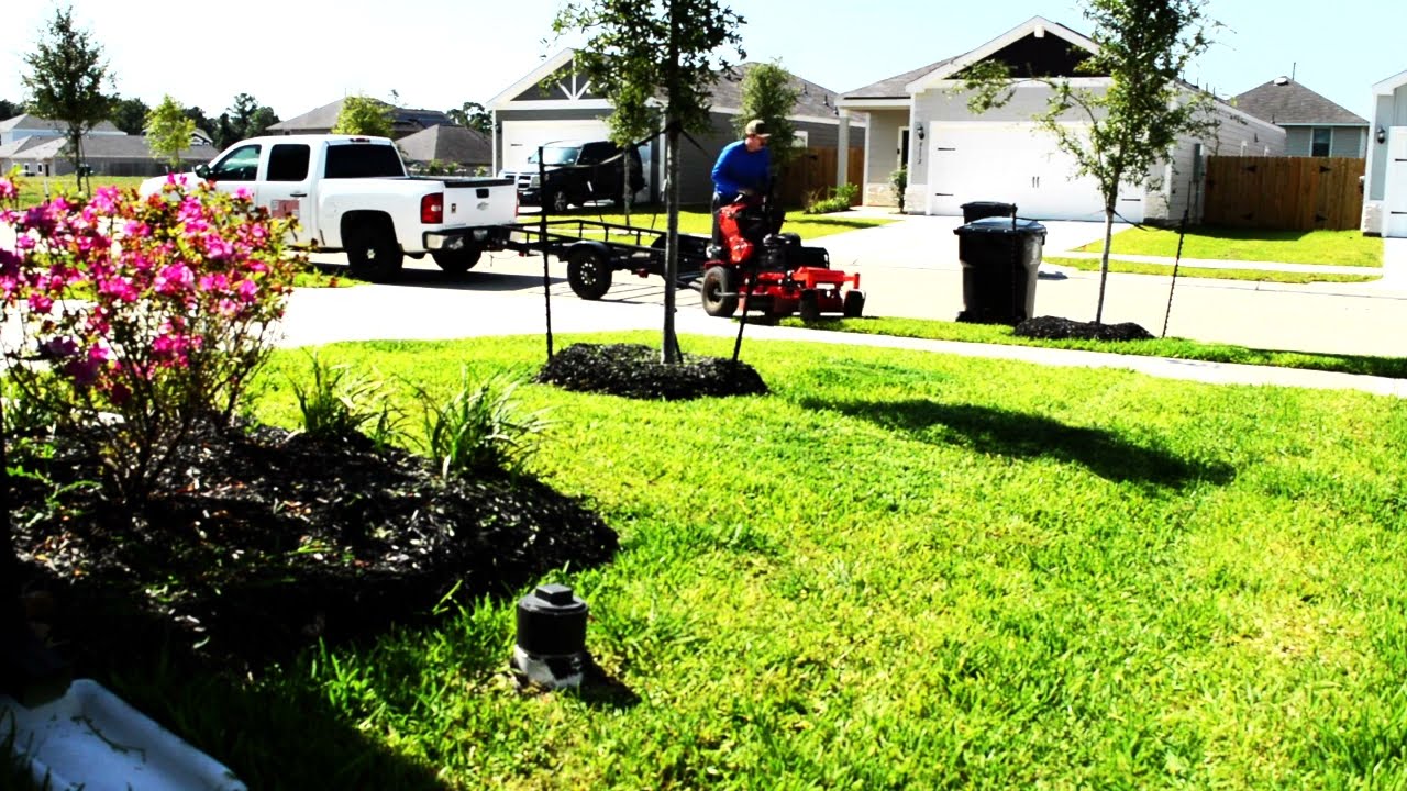 Satisfying Stripes on St. Augustine Lawn – Northeast Houston, Texas (Cinematic)