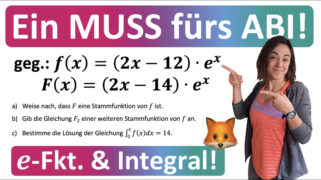 🦊 DAS MUSS IM MATHE ABI SITZEN! | 10 Minuten Analysis | e-Funkion und Integral | OHimi Abitur 2026
