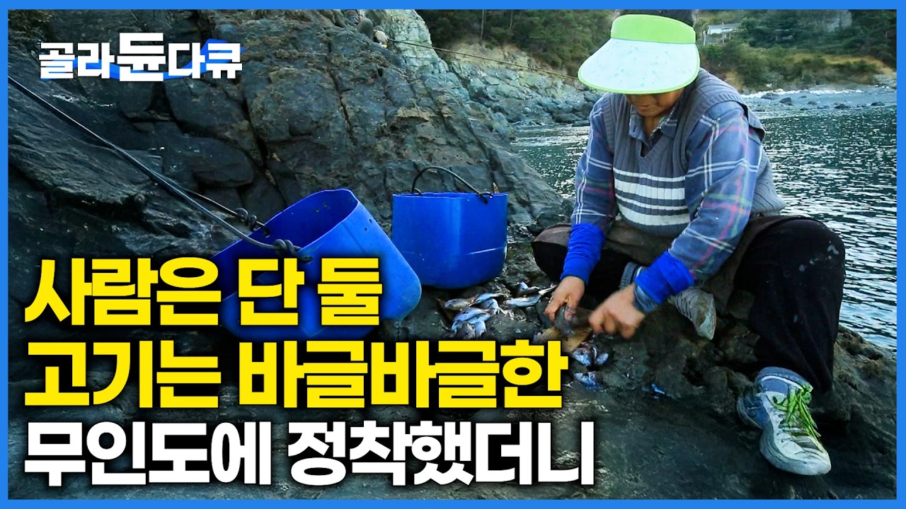 물 반 고기 반. 사람은 단 둘인데 고기는 바글바글한 넓디 넓은 바다 무인도 섬살이 15년차 자급자족 부부｜한국기행｜#골라듄다큐