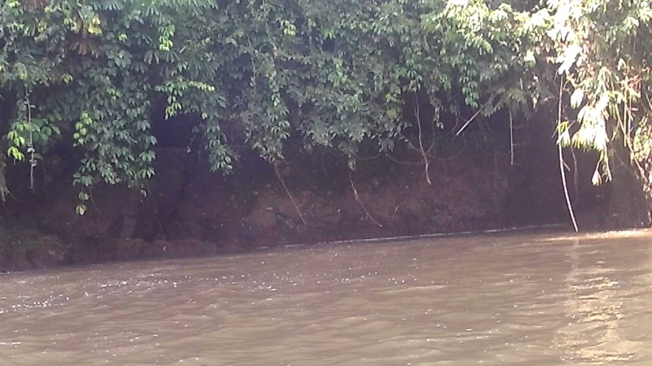 STREK Ikan Besar Rell Menjerit Joran dibantai berkali kali