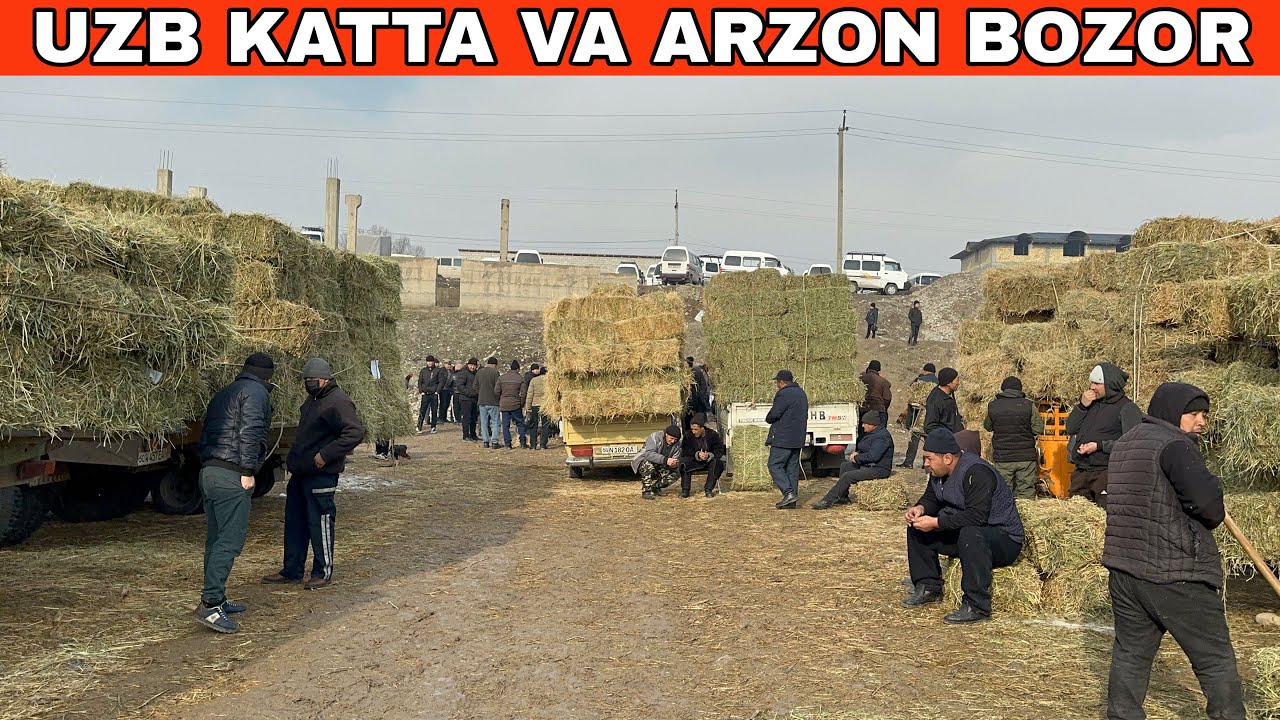 Bu Bozorda Beda Narxlari Arzon Ekan Bekabod Xashak Bozori#2026 #2025 #beda#somon#