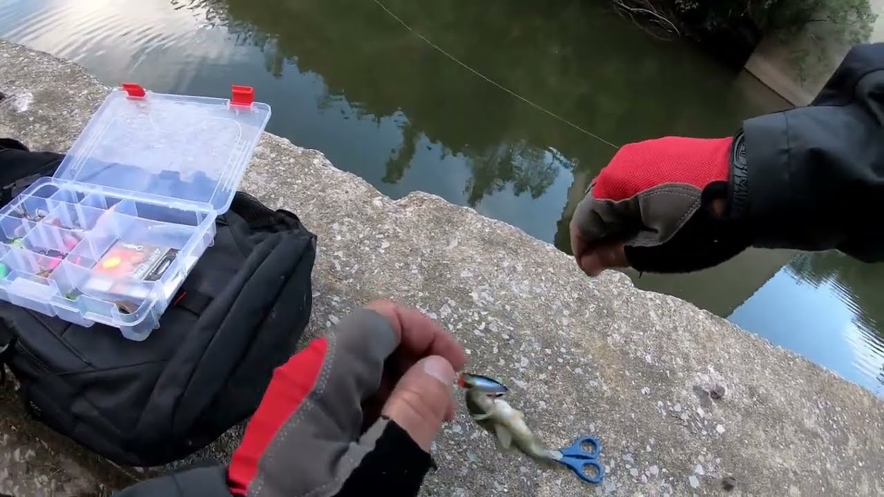 Light Fishing ao Achigã(férias 2025)