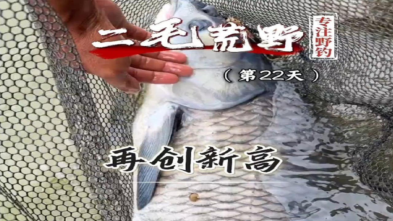 荒野钓鱼求生争霸赛第22天 这日子还得了，居然连鸡都换上了