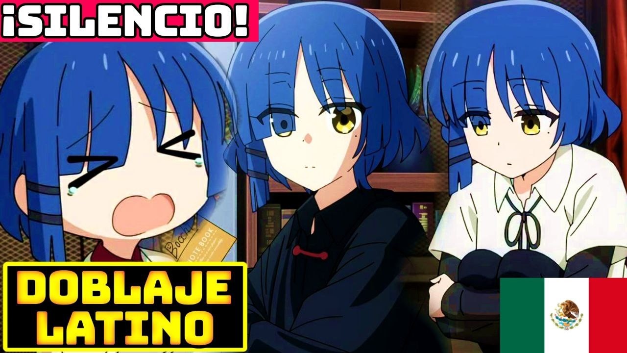 🔶¡¡La VOZ de 