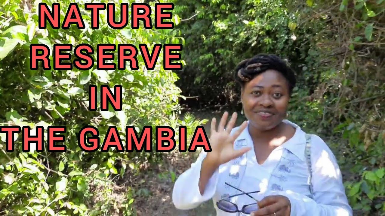We visited Abuko Nature Reserve |#gambiavlog | #wildlife | #africa