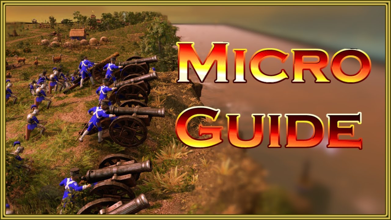 Everything YOU need to know about Micro! | Guide | How to | AoE III DE