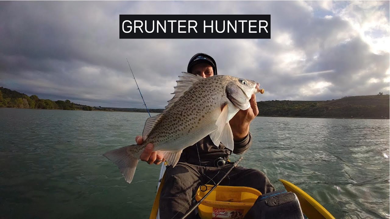 SOLO ADVENTURE Hunting Spotted Grunter