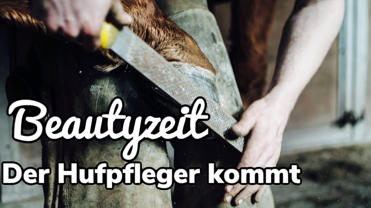 Der Hufpfleger kommt Teil 49 Ponyclub Theorie 2.0