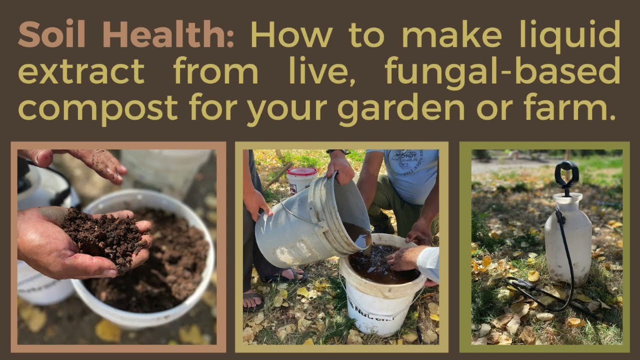 How to make Liquid Fungal Compost Extract for your Farm or Garden